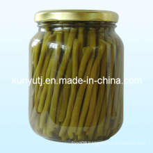 Canned Green Beans with High Quality